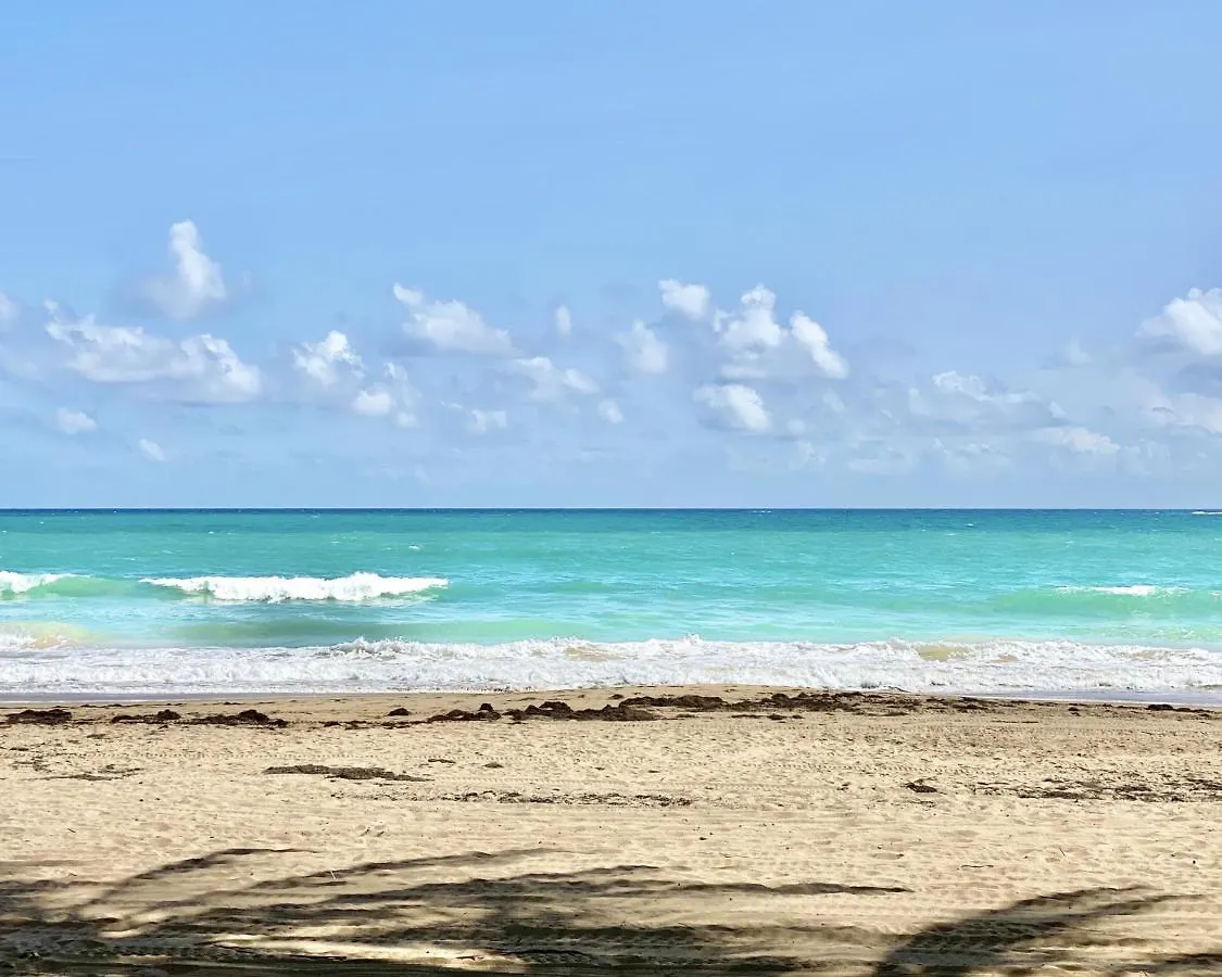 Apartamento Kasa Galicia Beachfront Studio Pool Beach Access San Juan Puerto Rico