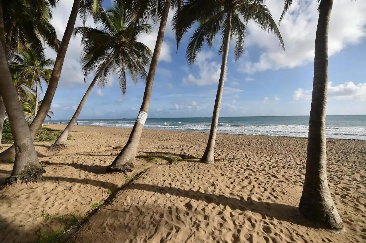 Kasa Galicia Beachfront Studio Pool Beach Access San Juan Apartamento