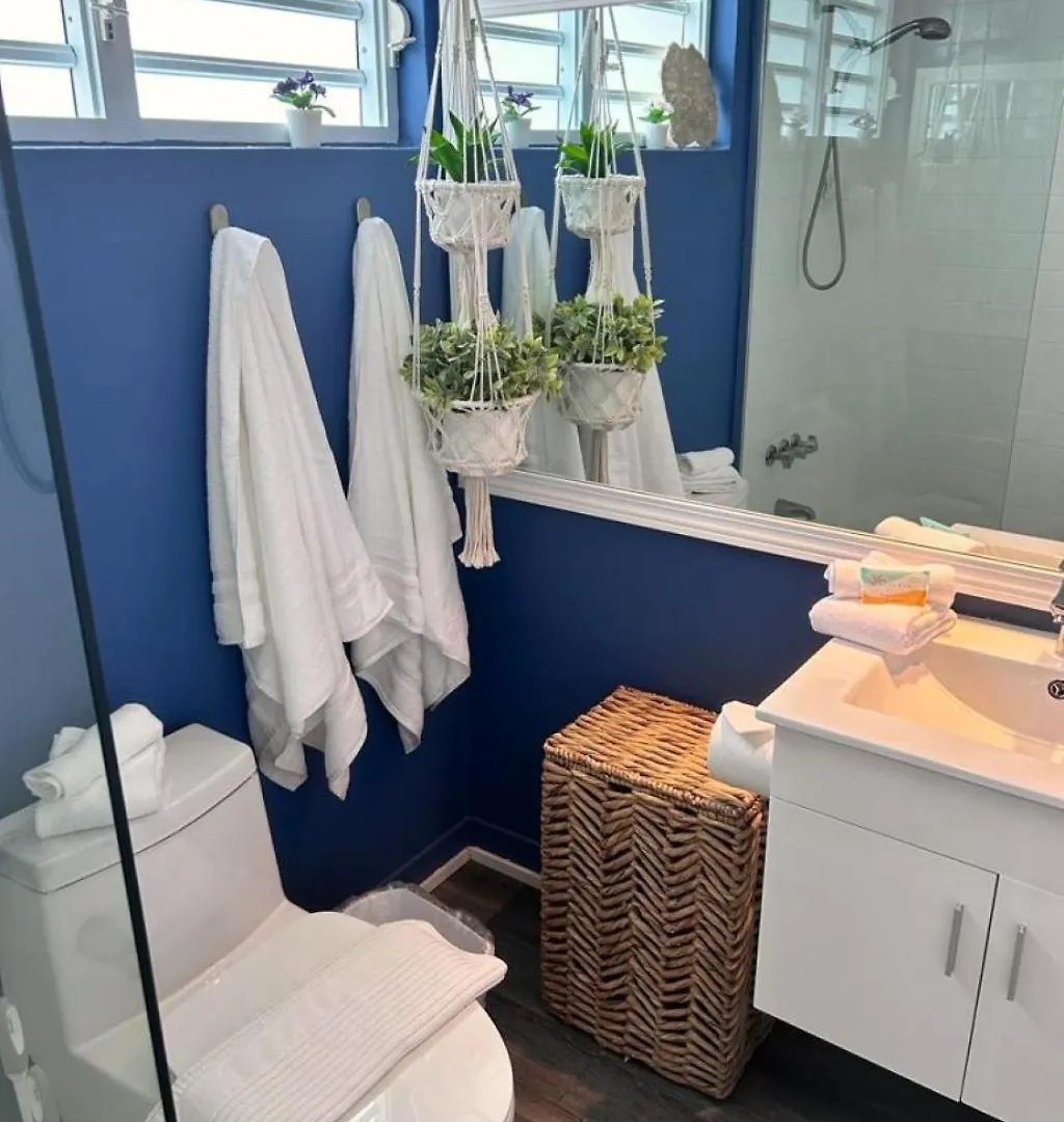 Kasa Galicia Beachfront Studio Pool Beach Access San Juan Puerto Rico